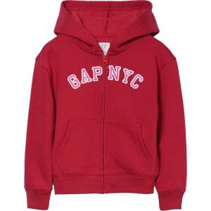 GAP V-fa logo heritage fz s