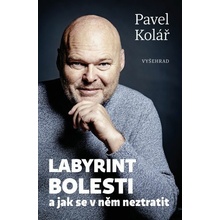 Labyrint bolesti - Kolář Pavel