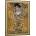 Trefl - Puzzle Art Frame Puzzle Klimt: Adele Bloch-Bauer I - 500 piese