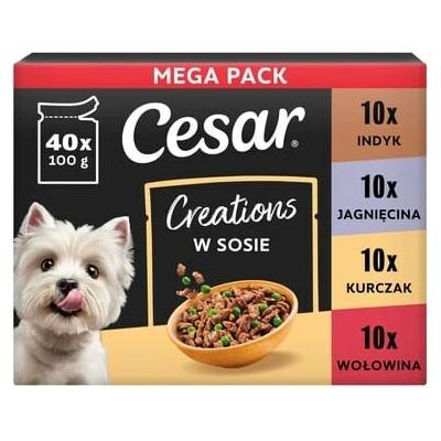 Cesar Creations Mix Chutí hovädzina kurča jahňacina moriak pre dospelých psov 40 x 100 g