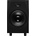 ADAM Audio Sub12