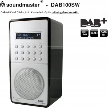 Soundmaster DAB100SW