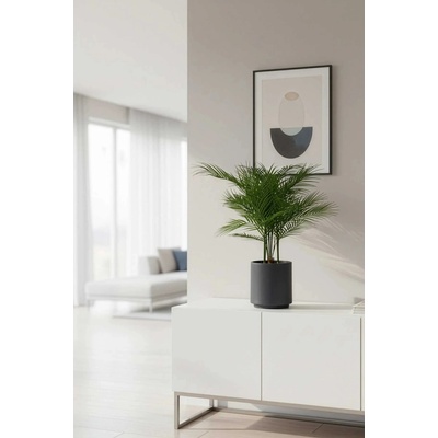 eshop-kvetinace.sk Umelá palma v kvetináči AREKA, plast, výška 90 cm, zelená