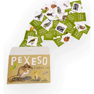 Lesní svět Papírové pexeso Z našeho lesa