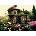 Anatolian - Puzzle Hidden Reading - 1 000 piese