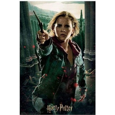 PRIME 3D Harry Potter Hermiona Granger 3D 300 dielov