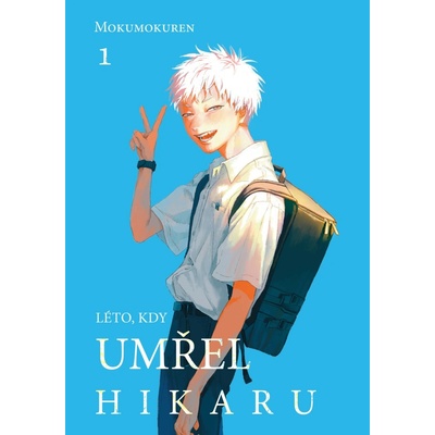 Léto, kdy umřel Hikaru 1