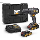 CAT DX11