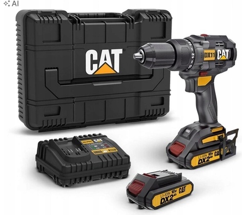 CAT DX11
