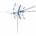 Telmor TT W21 Gold Combo Antenna 5G Protected Passive Telmor Blue
