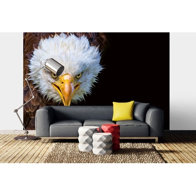 DIMEX ART Самозалепваща се флизелинова фототапета американски орел 375 x 250 см