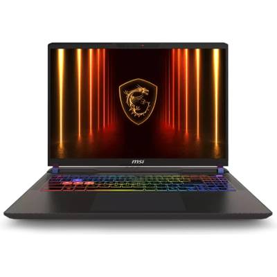 MSI Vector 16 HX AI A2XWIG (9S7-15M352-028_16GB_500SSD)
