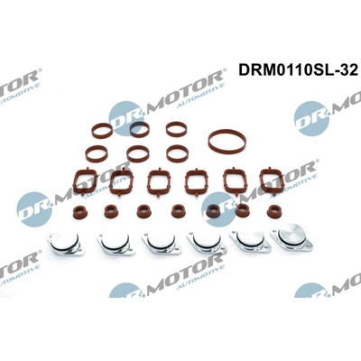 Sada na opravu, modul sacího potrubí Dr.Motor Automotive DRM0110SL-32 (DRM0110SL32)