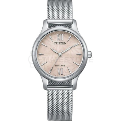 Citizen EM0899-81X