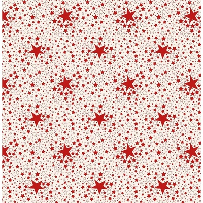 Nese plastik 226 PVC ubrus Fantastik Vánoce 140 x160 cm stříbrná