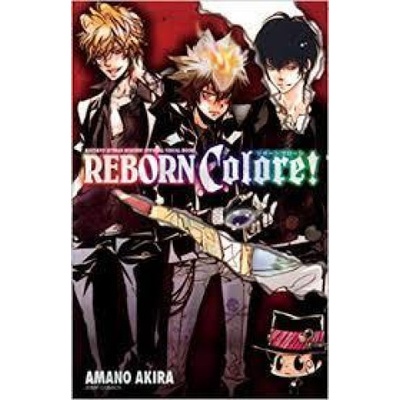 REBORN COLORE! ARTBOOK VO JAPONAIS