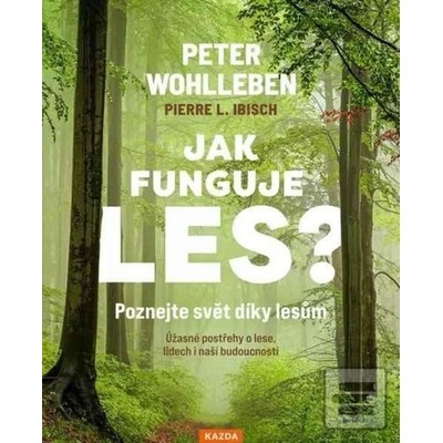 Jak funguje les?