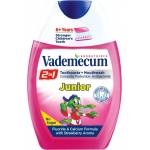 Vademecum 2в1 Junior комбинация от паста за зъби и UV Ягода 75 мл