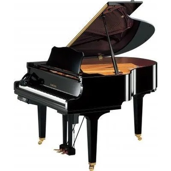 Yamaha GC1