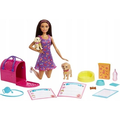 Mattel Кукла Mattel Barbie с кученца (HKD86)