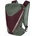 DYNAFIT Раница за туризъм DYNAFIT Traverse 22 l sage/burgundy
