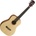 Cort Earth Mini