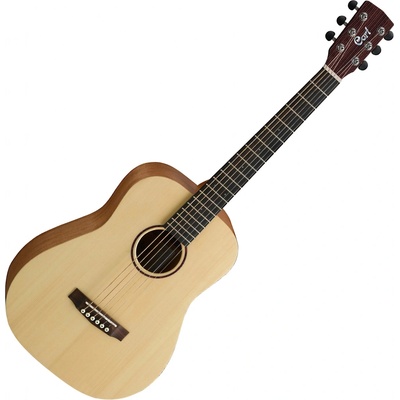 Cort Earth Mini