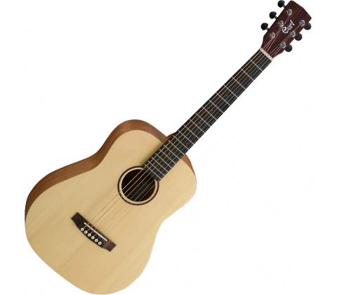 Cort Earth Mini