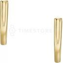 Fossil náušnice JF04352710