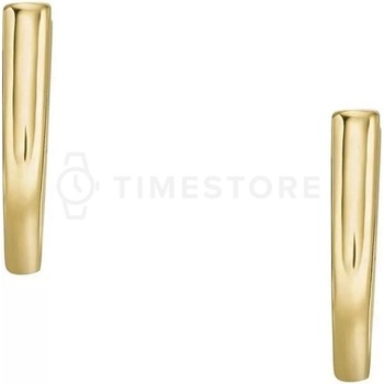 Fossil náušnice JF04352710