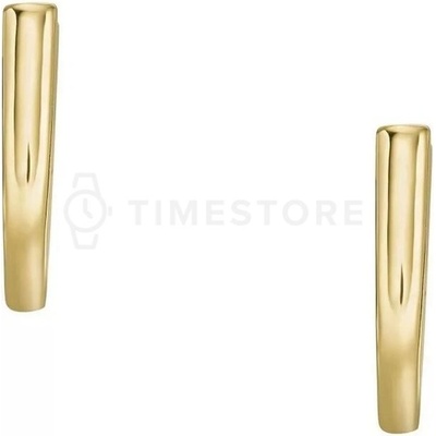 Fossil náušnice JF04352710