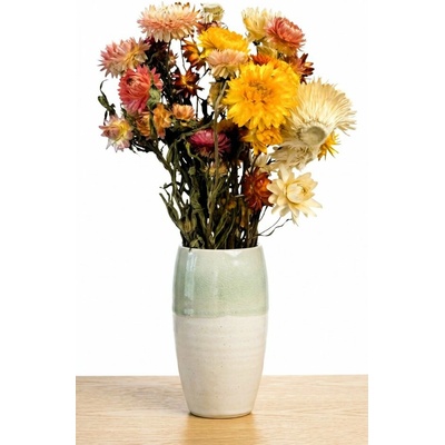 Helichrysum, slaměnka mix barev, svazek 50g