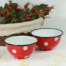 Isabelle Rose Plechová miska 600 ml