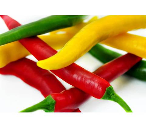 Tradag Chilli