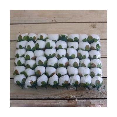 Kvet ranunculus 371235-26