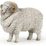 Papo Merino Aries