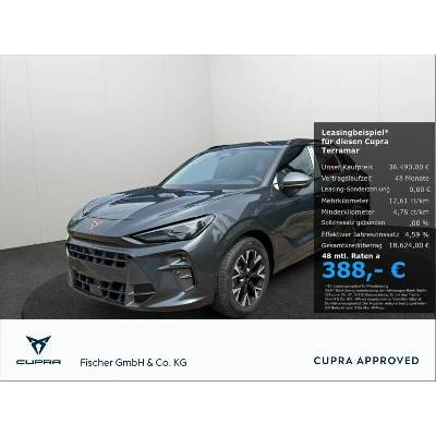 Cupra Terramar 1.5 eTSI DSG 110 kW