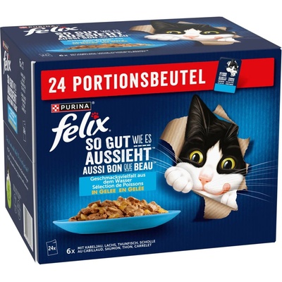Felix Fantastic treska, losos, tuňák, platýs 24 x 85 g