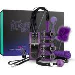 Secret Pleasure Chest - напреднал BDSM комплект (14 части)