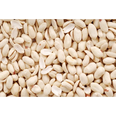 Les Fruits du Paradis Arašídy blanšírované RAW BIO 25 kg