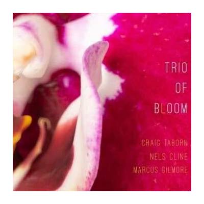 Russ Freeman - Trio Of Bloom CD