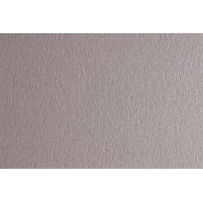 Fabriano Картон Colore, 50 x 70 cm, 140 g/m2, № 222, светлосив (43303222/2_PERLA)