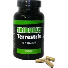 Fitness13 Tribulus Terrestris 100 tablet