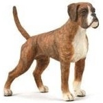 CollectA Dog Boxer 88936 COLLECTA