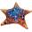 SunsOut - Puzzle Steve Sundram: Starfish - 600 piese