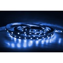 T-LED 079256