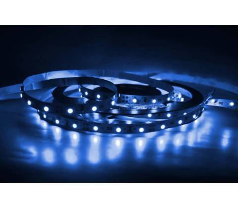 T-LED 079256