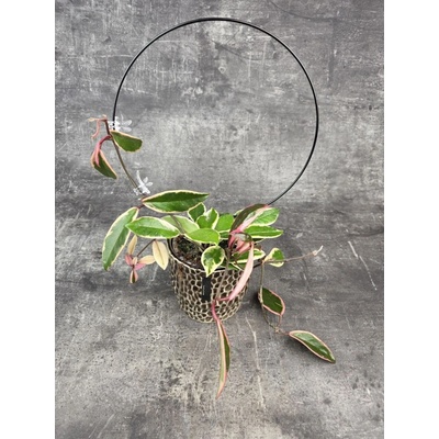 Opora kovová Kruh, průměr 26 cm