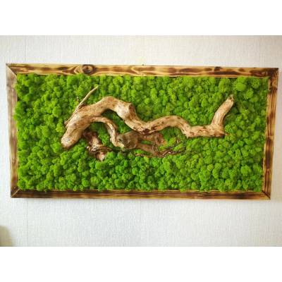 Mechový obraz se dřevem 60cm x 120cm