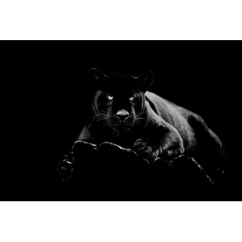 imageLAND СТЪКЛЕНА КАРТИНА panther (700054)